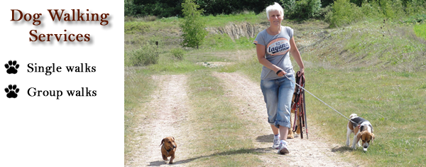 Dog walking Services Peterborough